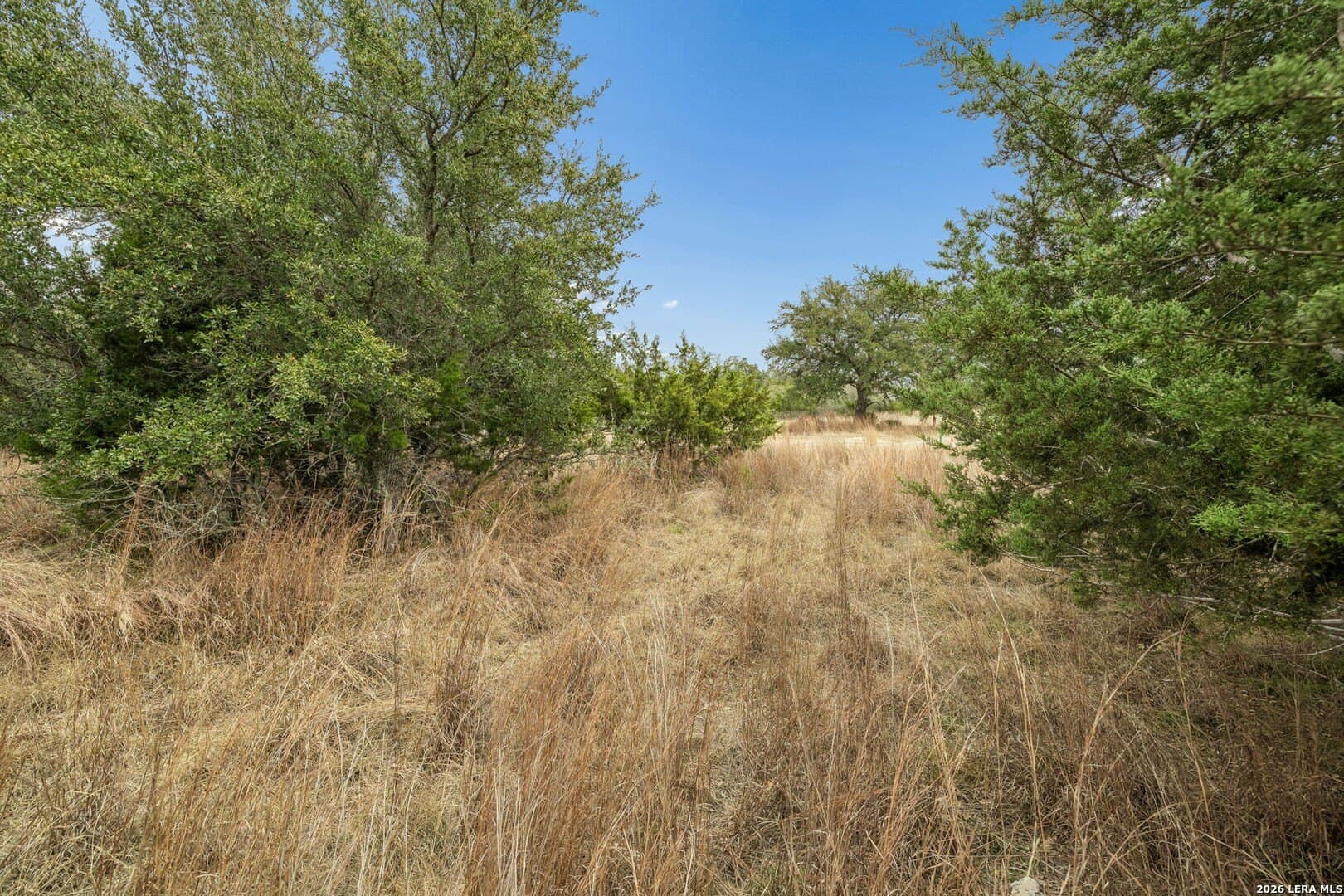 0.4 acres in Blanco County - photo 12