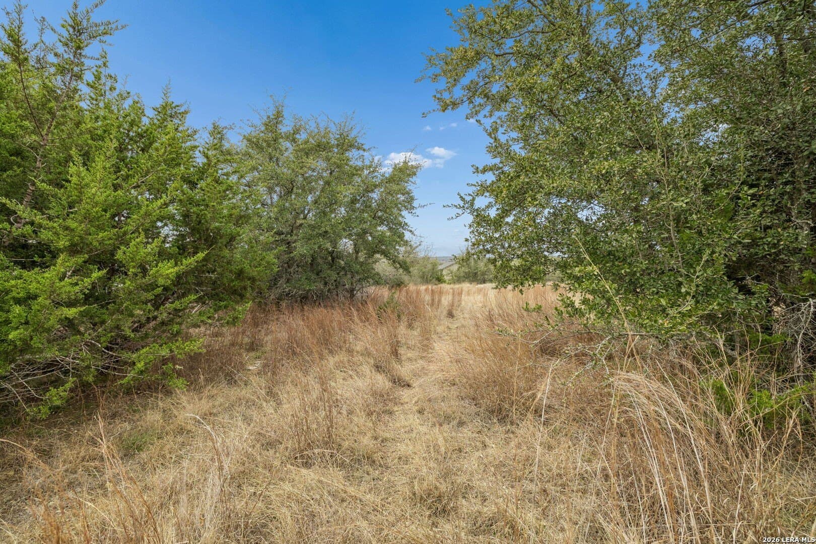0.4 acres in Blanco County - photo 9