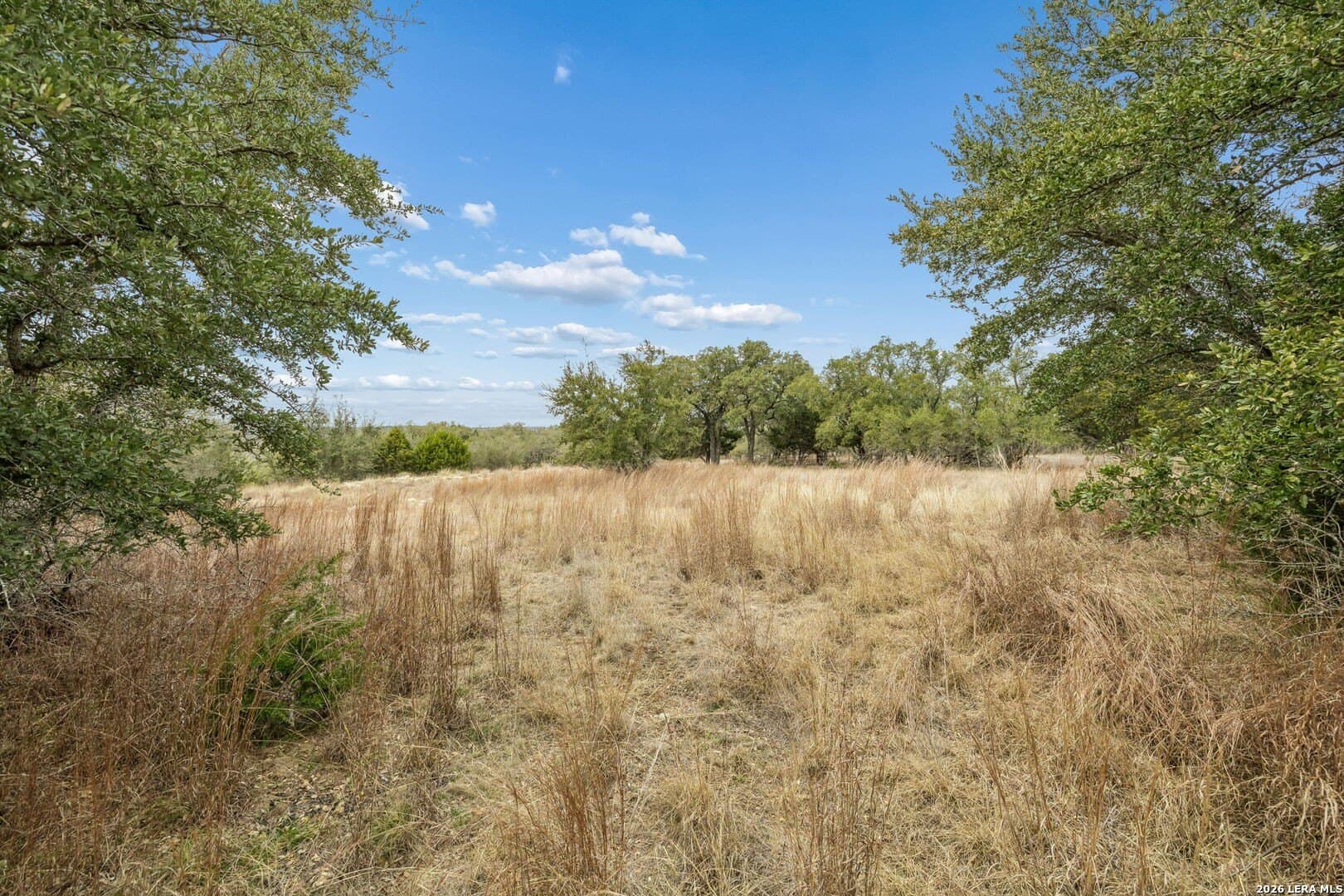0.4 acres in Blanco County - photo 11