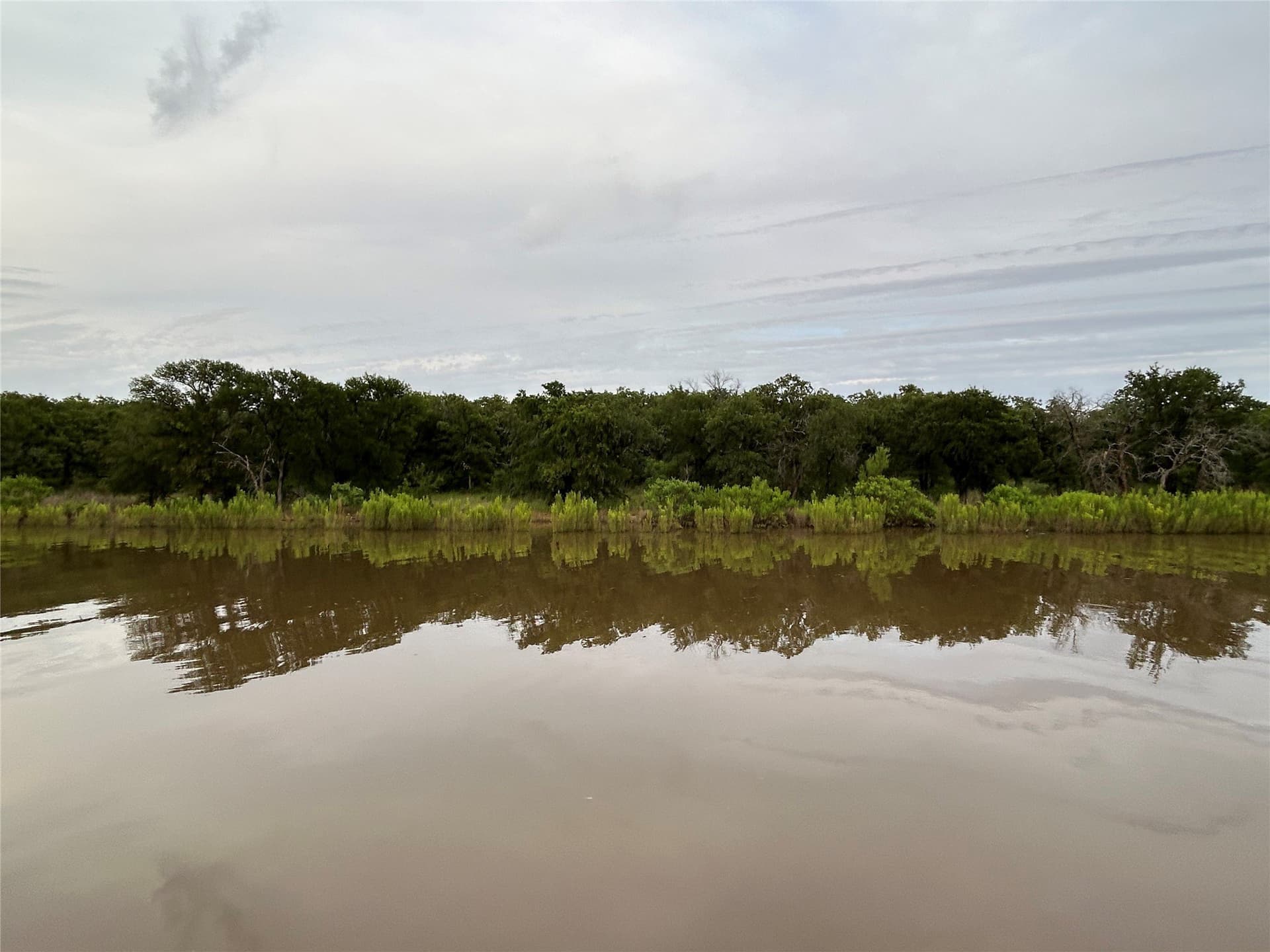 1.01 acres in Wise County gallery image 2