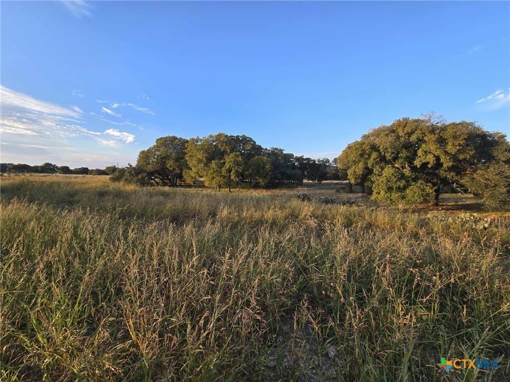 7.38 acres in Coryell County gallery image 3