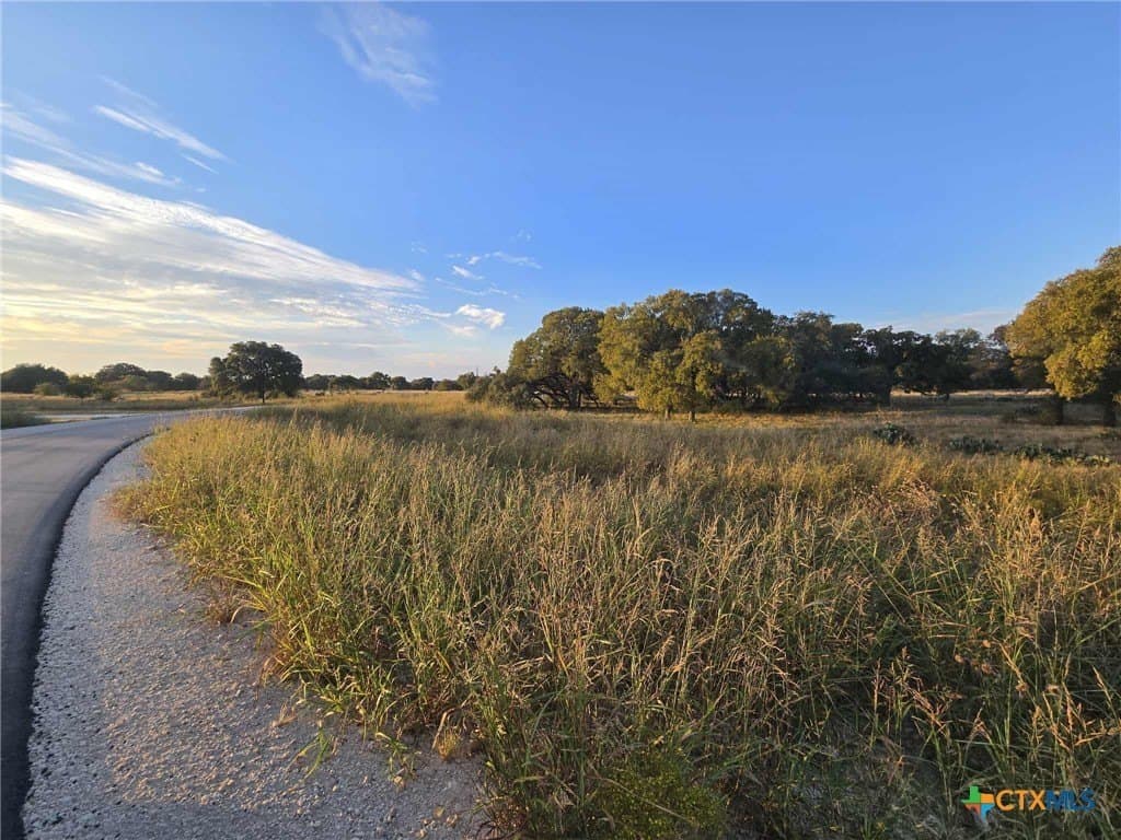 7.38 acres in Coryell County gallery image 4