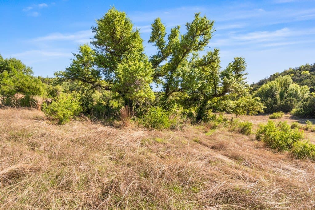 200 acres in Gillespie County - photo 26