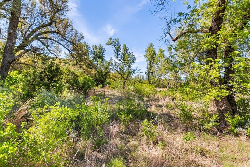 200 acres in Gillespie County - photo 30