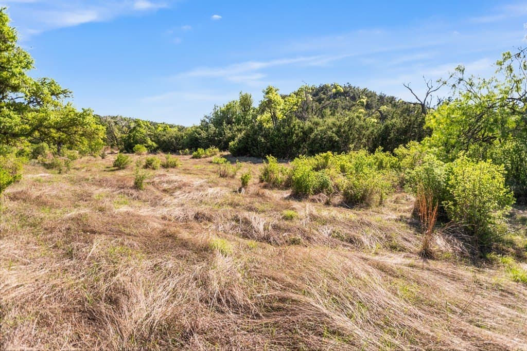 200 acres in Gillespie County - photo 27