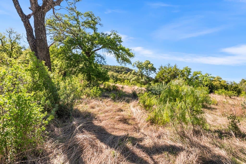 200 acres in Gillespie County - photo 29