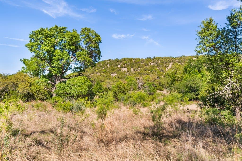 200 acres in Gillespie County - photo 31