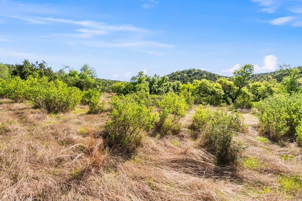 200 acres in Gillespie County - photo 23