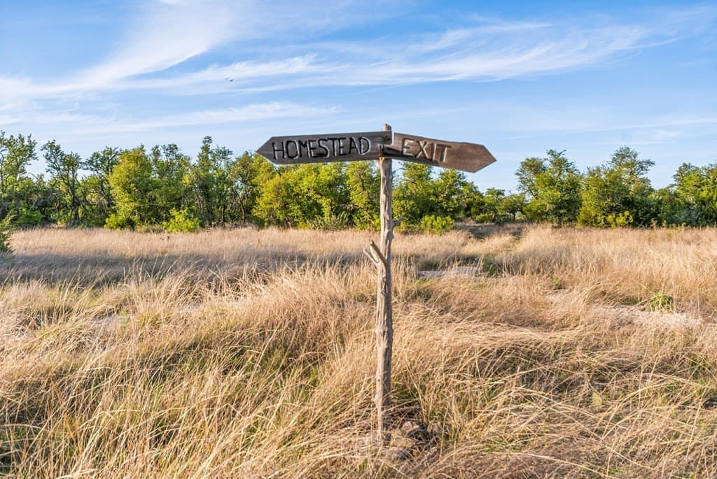 200 acres in Gillespie County - photo 16