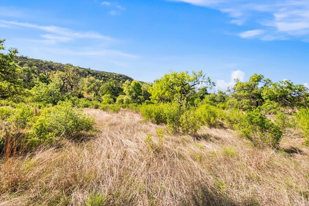 200 acres in Gillespie County - photo 25