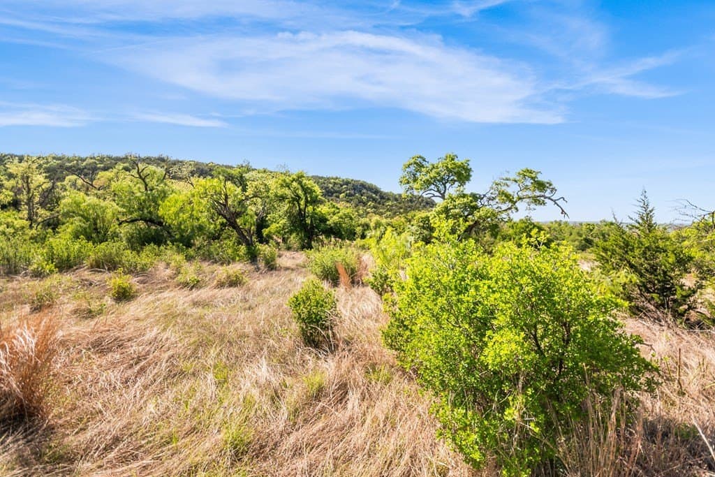 200 acres in Gillespie County - photo 22