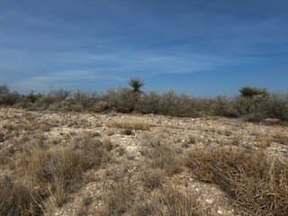 5 acres in Maverick County gallery image 3
