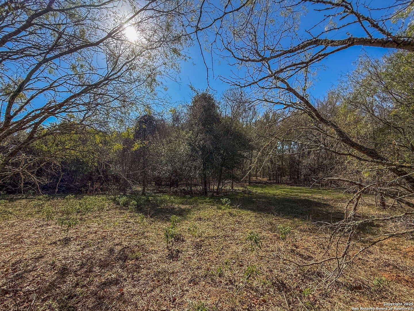 38.57 acres in Guadalupe County
