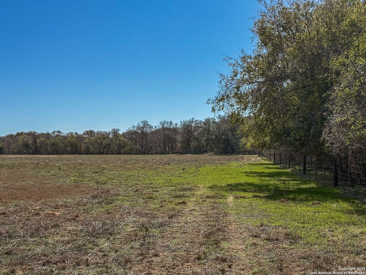 38.57 acres in Guadalupe County gallery image 4
