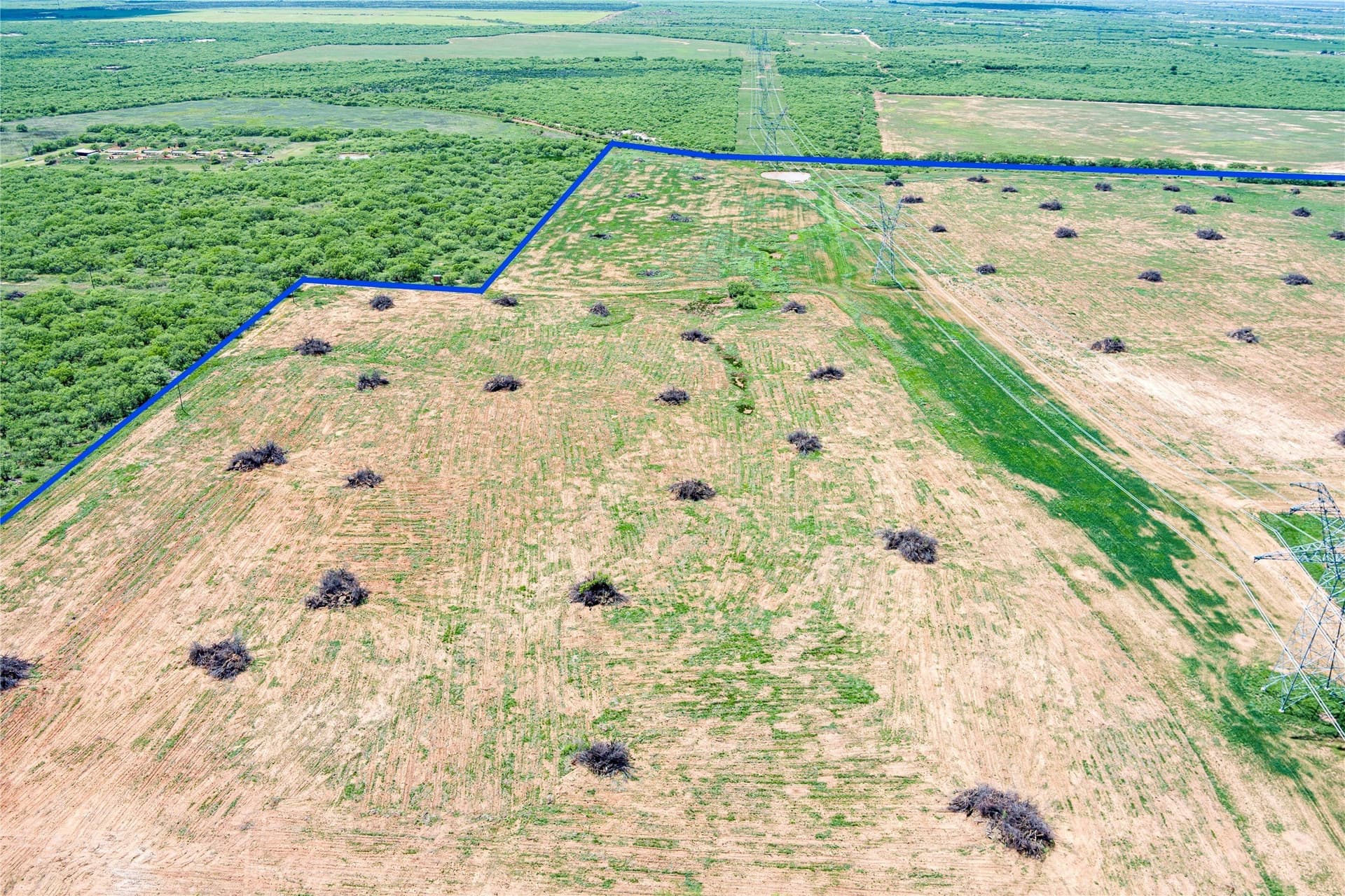 293.79 acres in Wichita County - photo 11