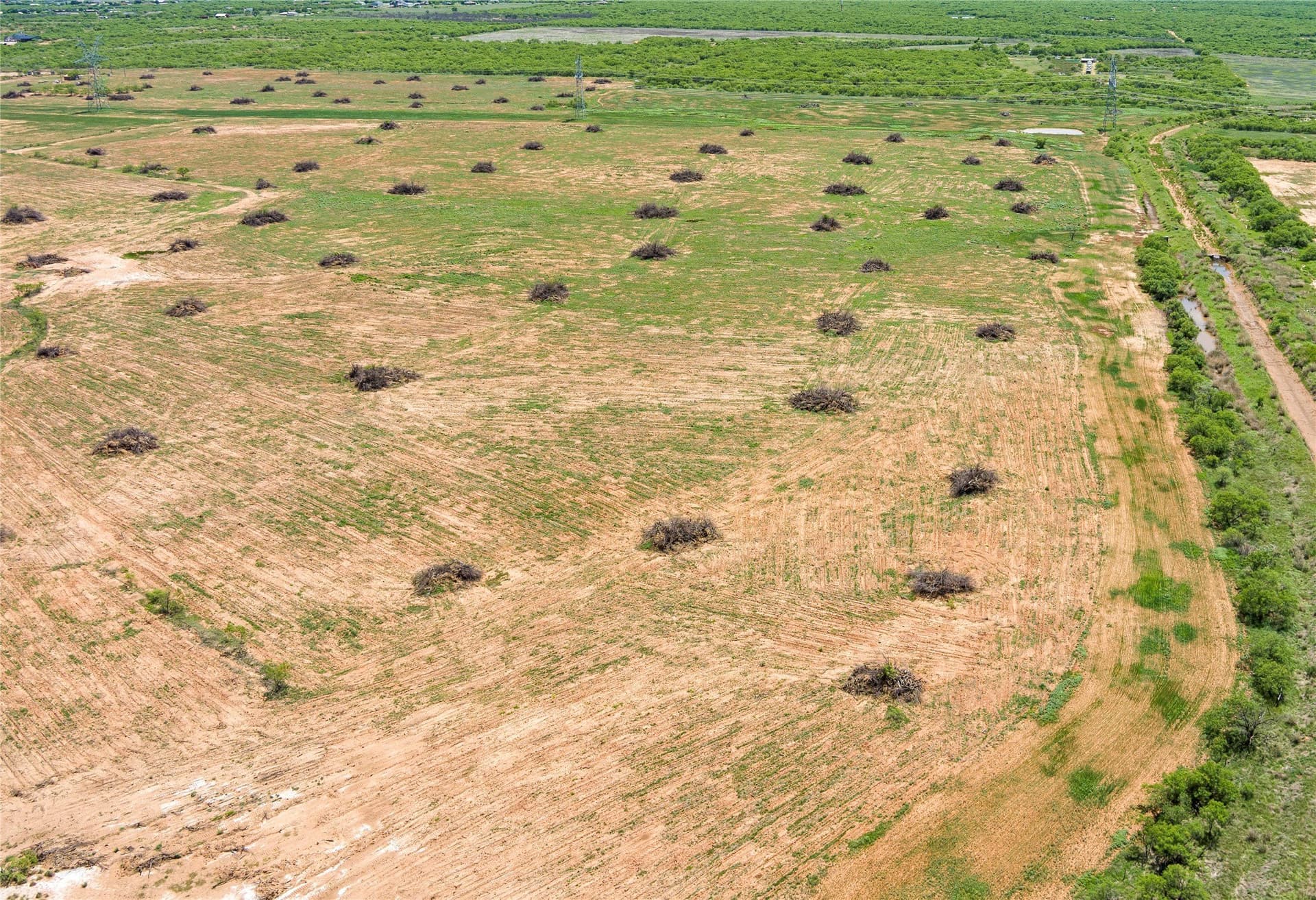 293.79 acres in Wichita County - photo 23