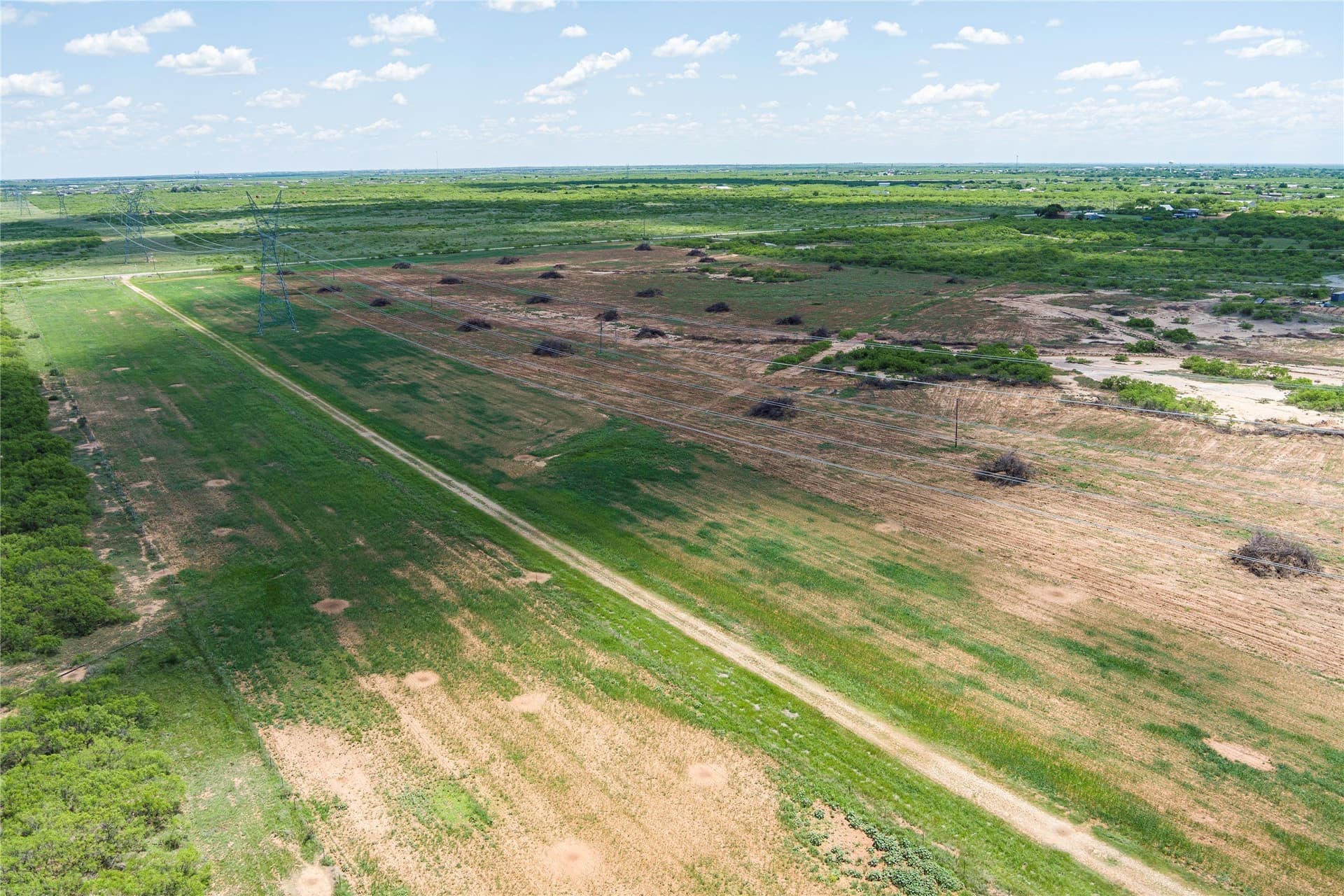 293.79 acres in Wichita County - photo 15