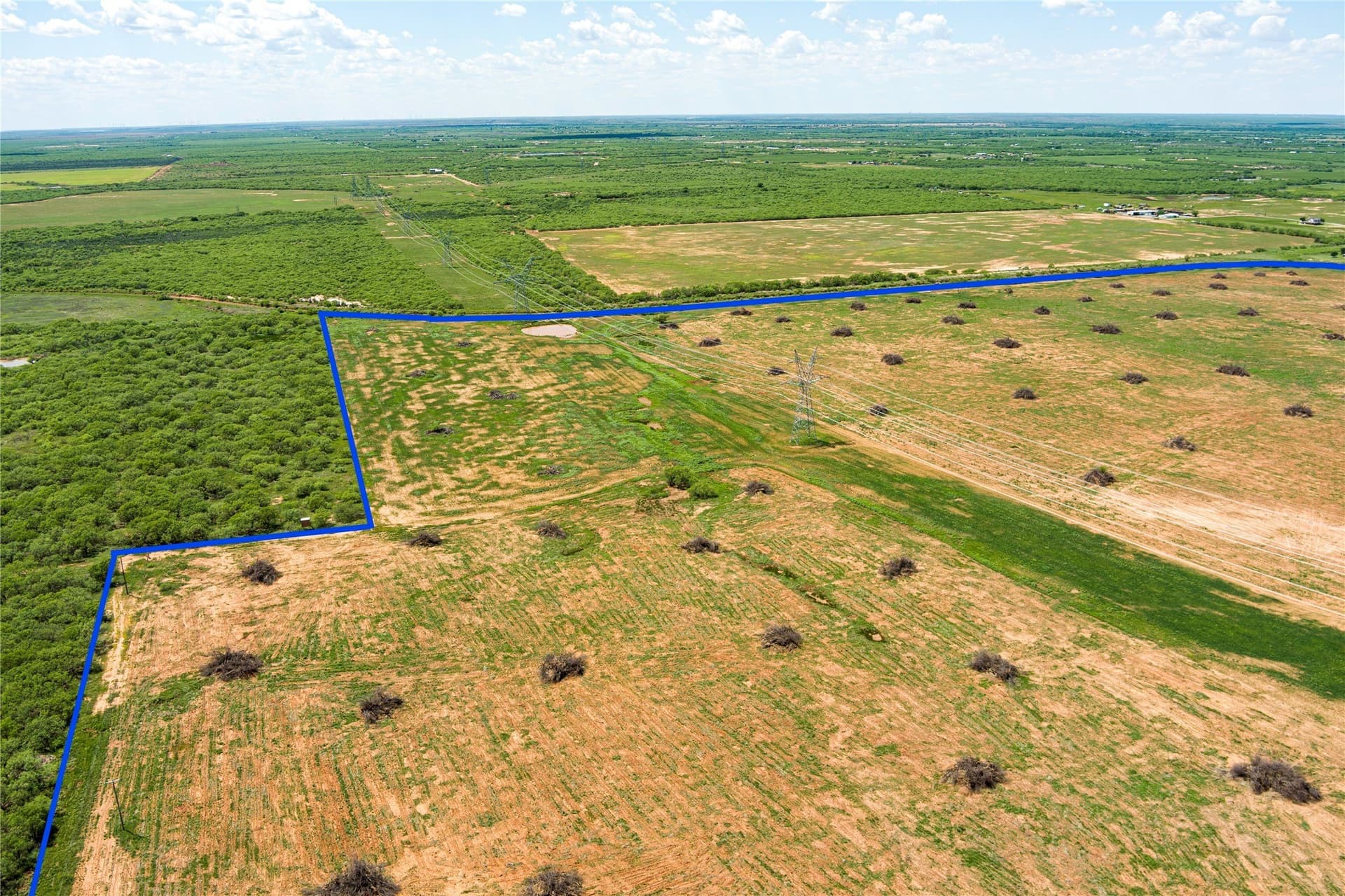 293.79 acres in Wichita County - photo 9