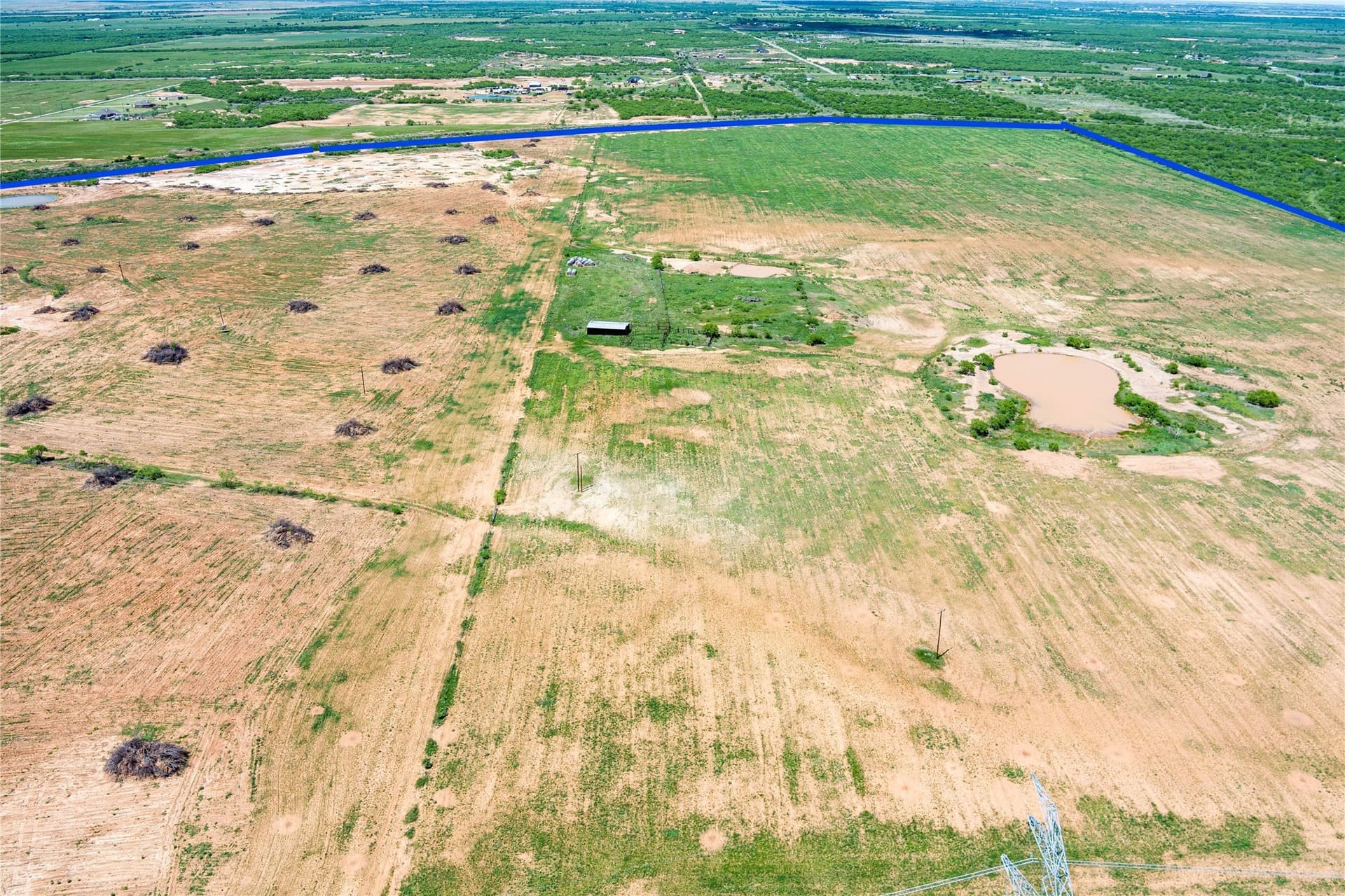 293.79 acres in Wichita County - photo 8