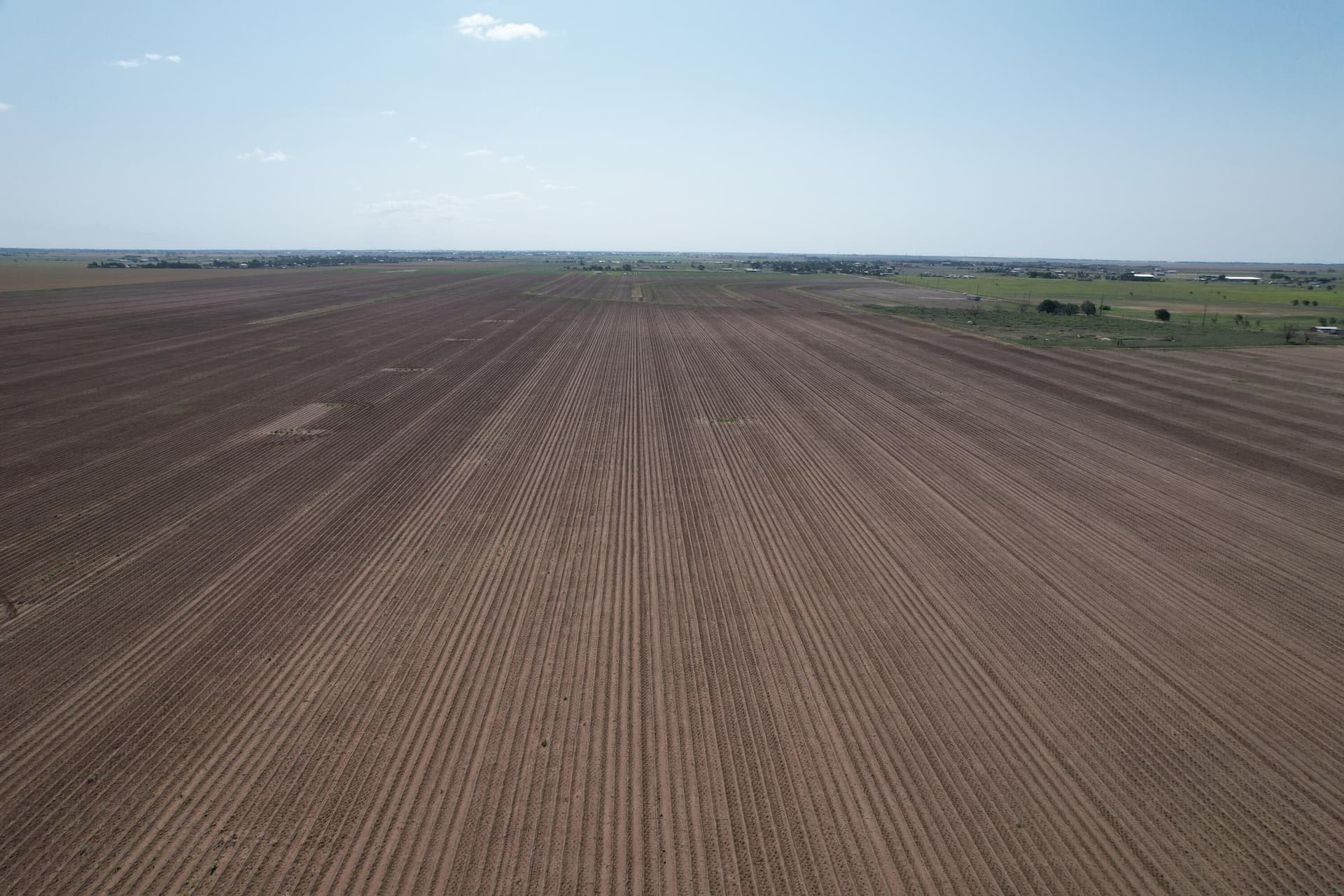 10 acres in Hockley County gallery image 2