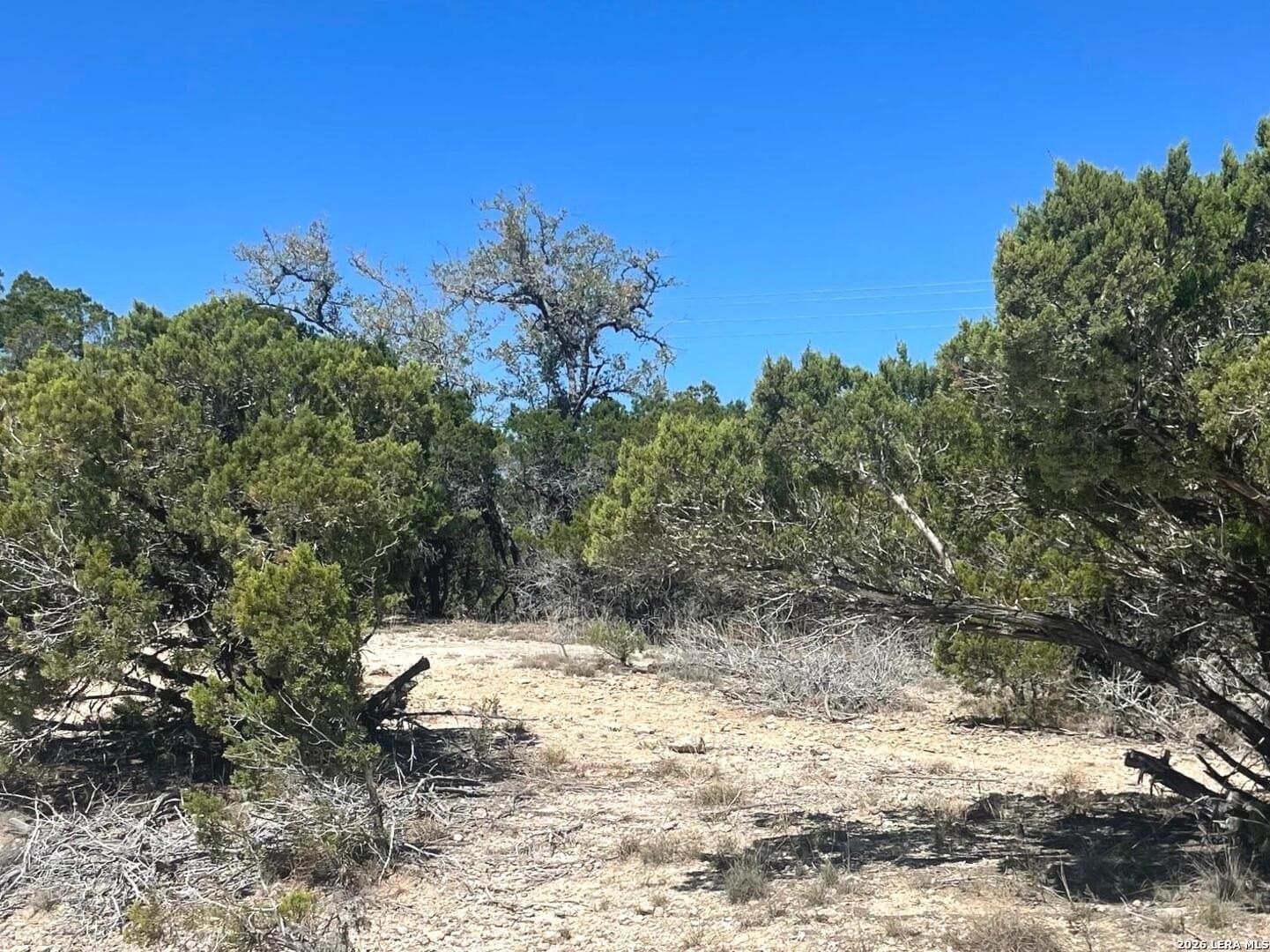 0.29 acres in Bandera County featured view