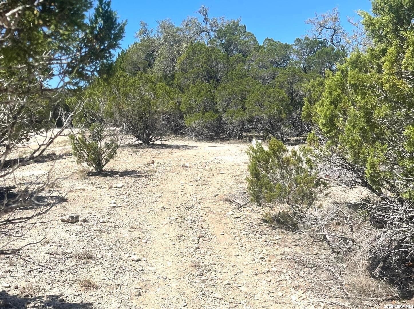 0.29 acres in Bandera County gallery image 4