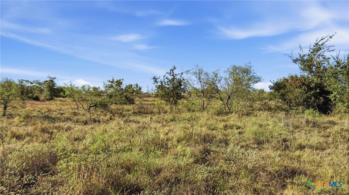 10.01 acres in Comanche County - photo 17