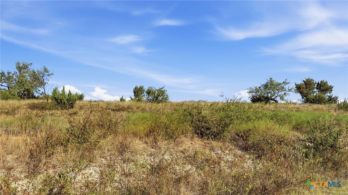 10.01 acres in Comanche County - photo 7