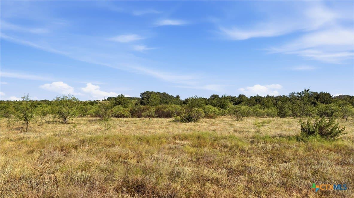 10.01 acres in Comanche County - photo 13