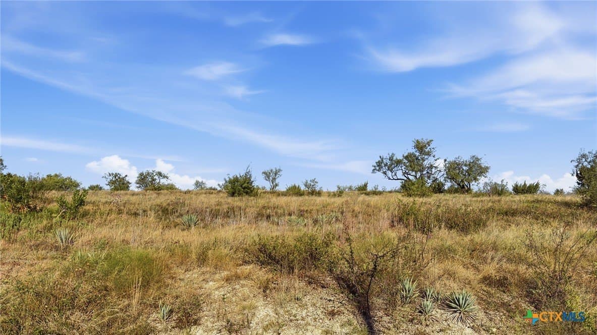 10.01 acres in Comanche County - photo 6