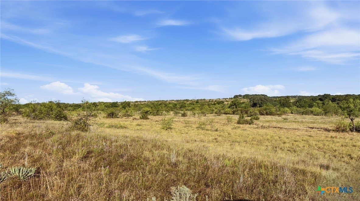 10.01 acres in Comanche County - photo 10