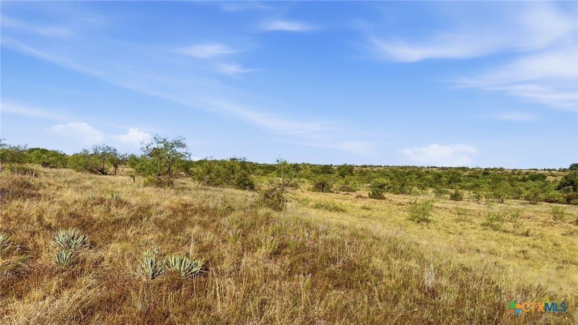 10.01 acres in Comanche County - photo 11