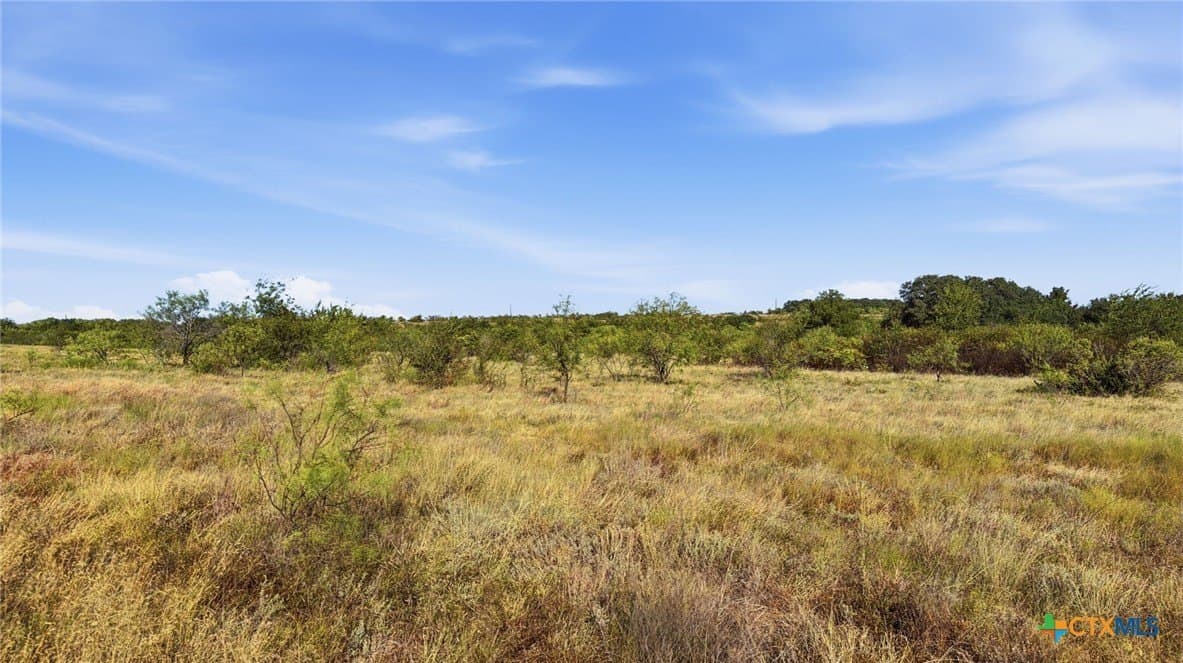 10.01 acres in Comanche County - photo 14