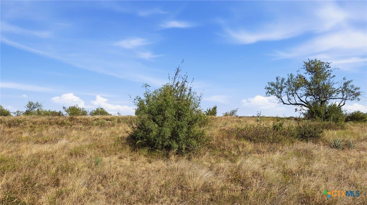 10.01 acres in Comanche County - photo 8