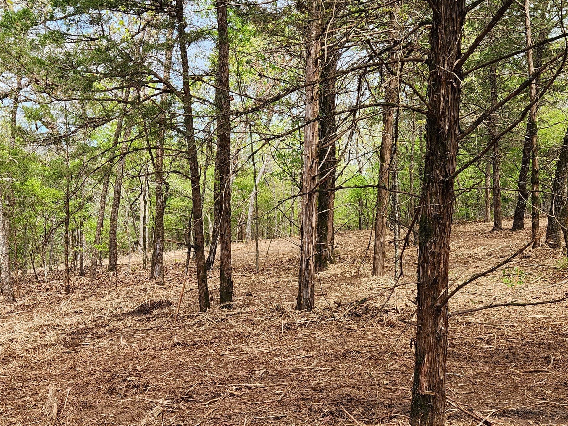 5.01 acres in Henderson County - photo 11