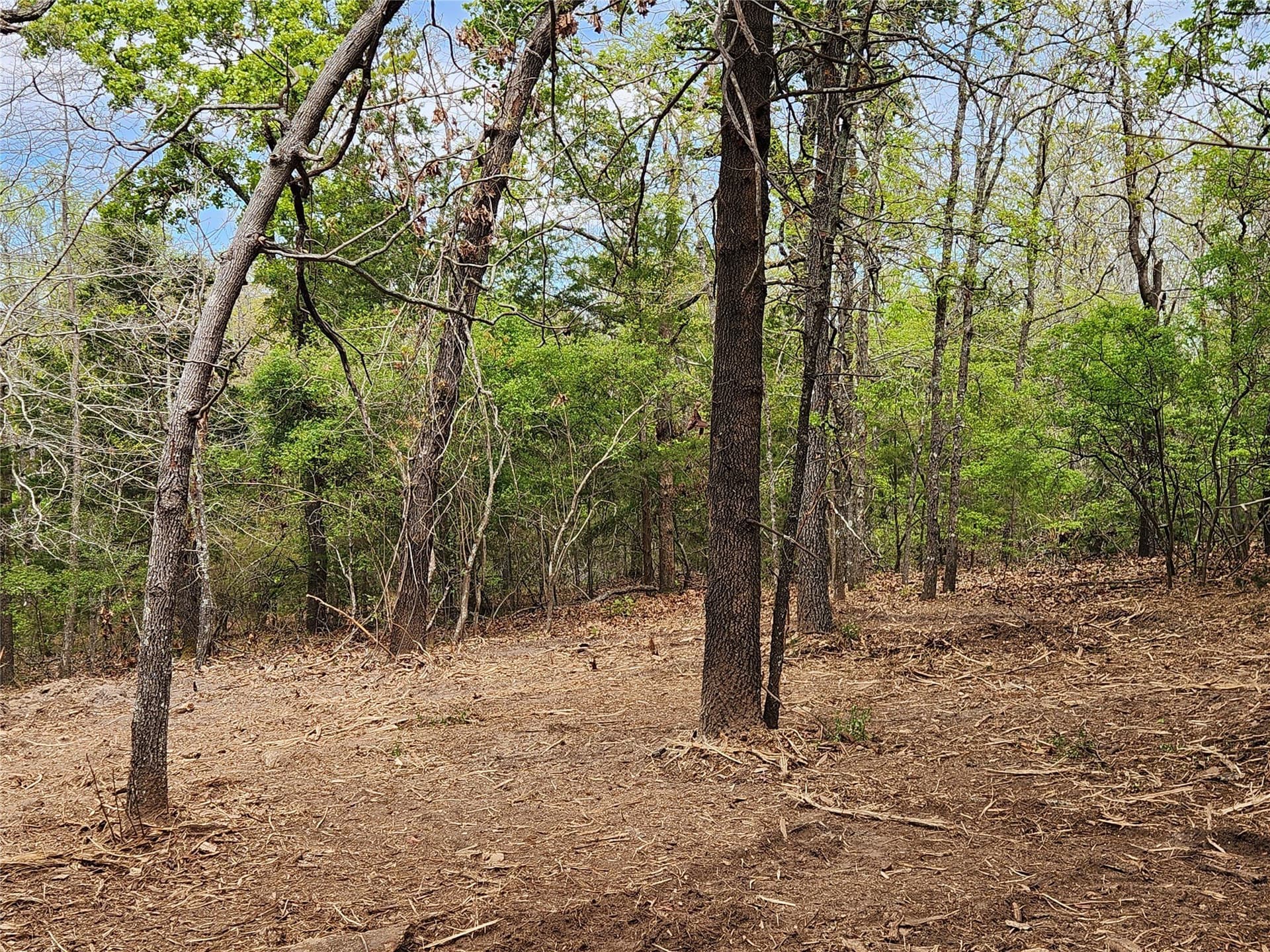 5.01 acres in Henderson County - photo 18
