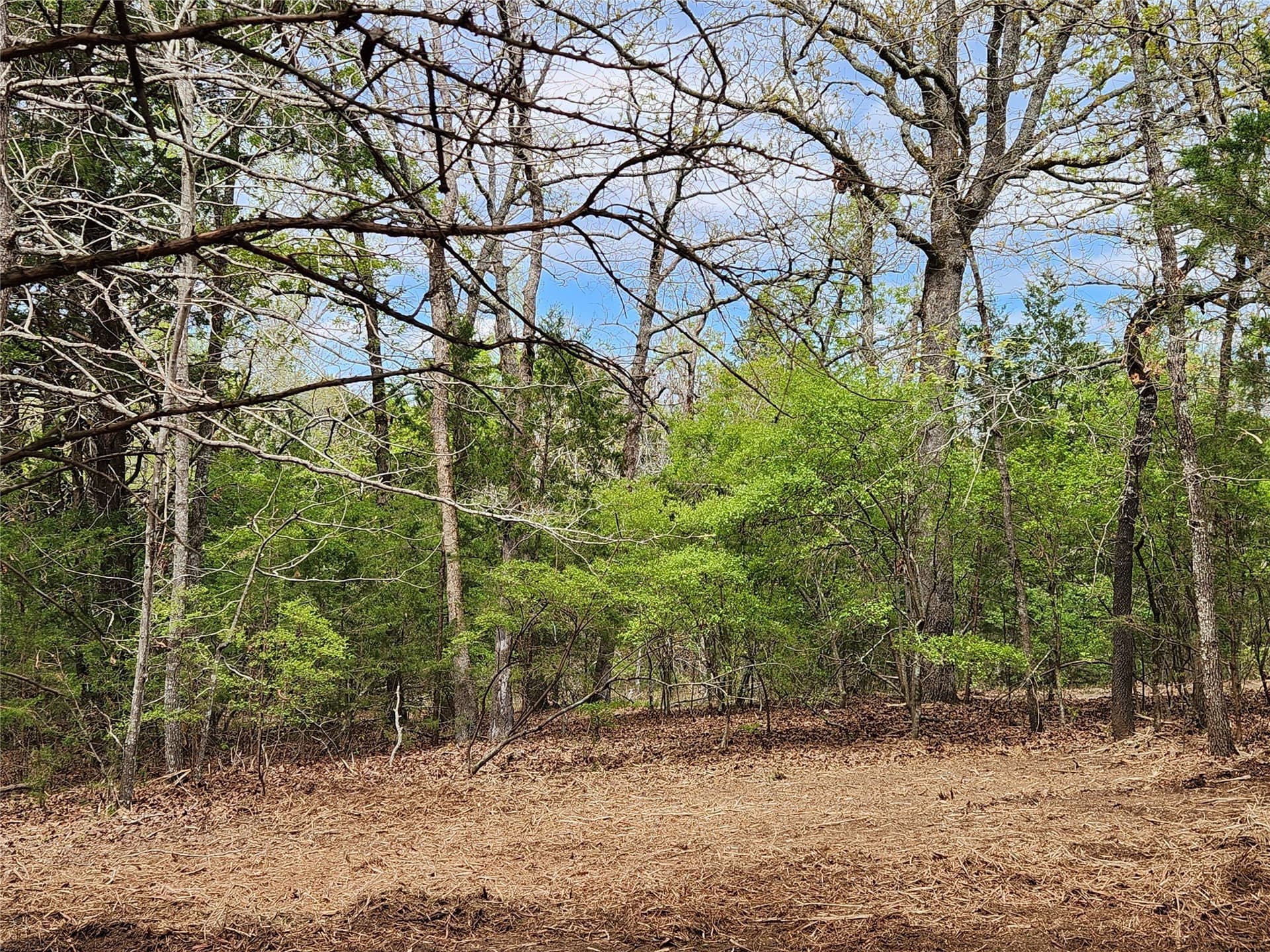 5.01 acres in Henderson County - photo 10