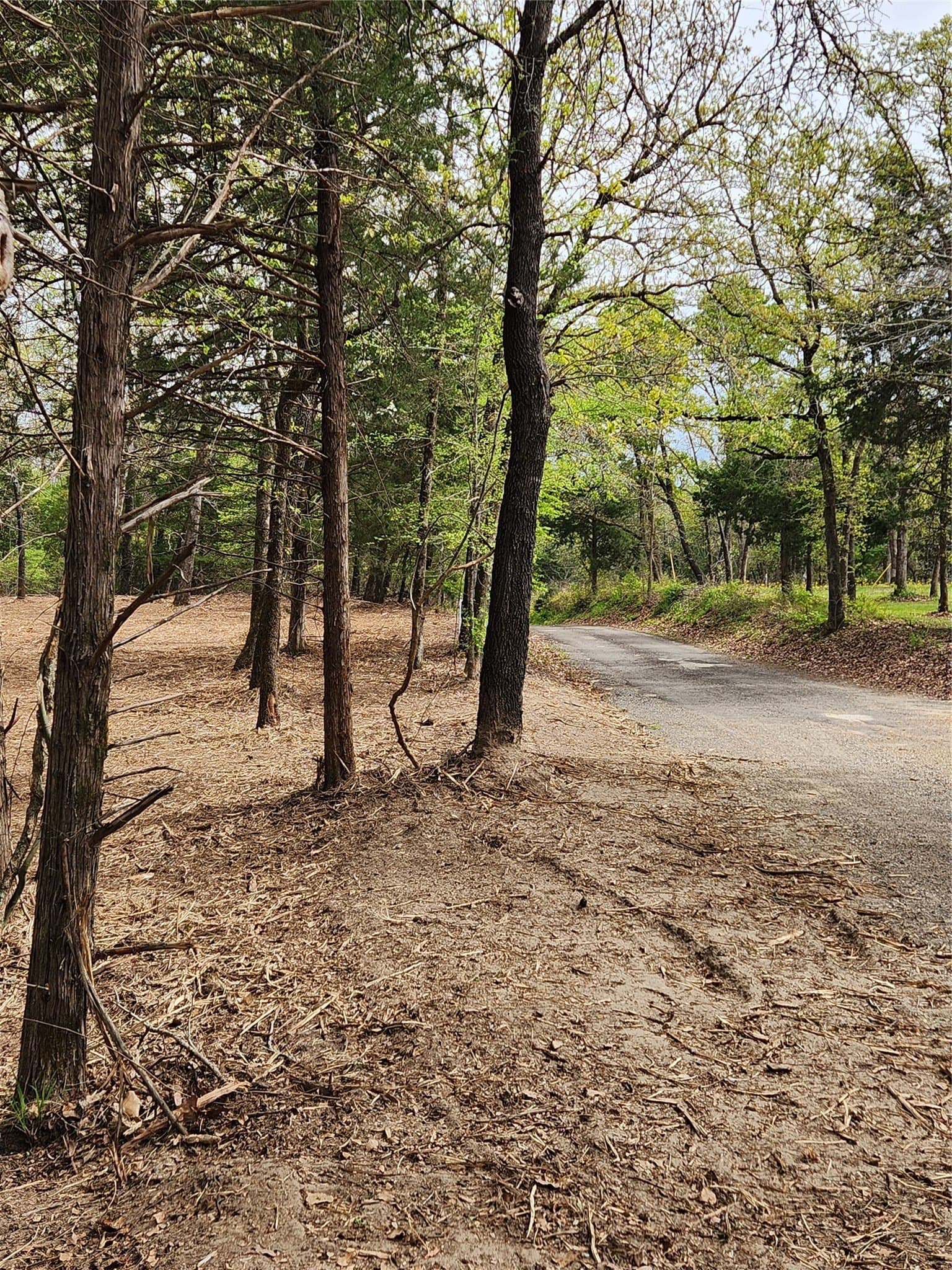 5.01 acres in Henderson County - photo 6