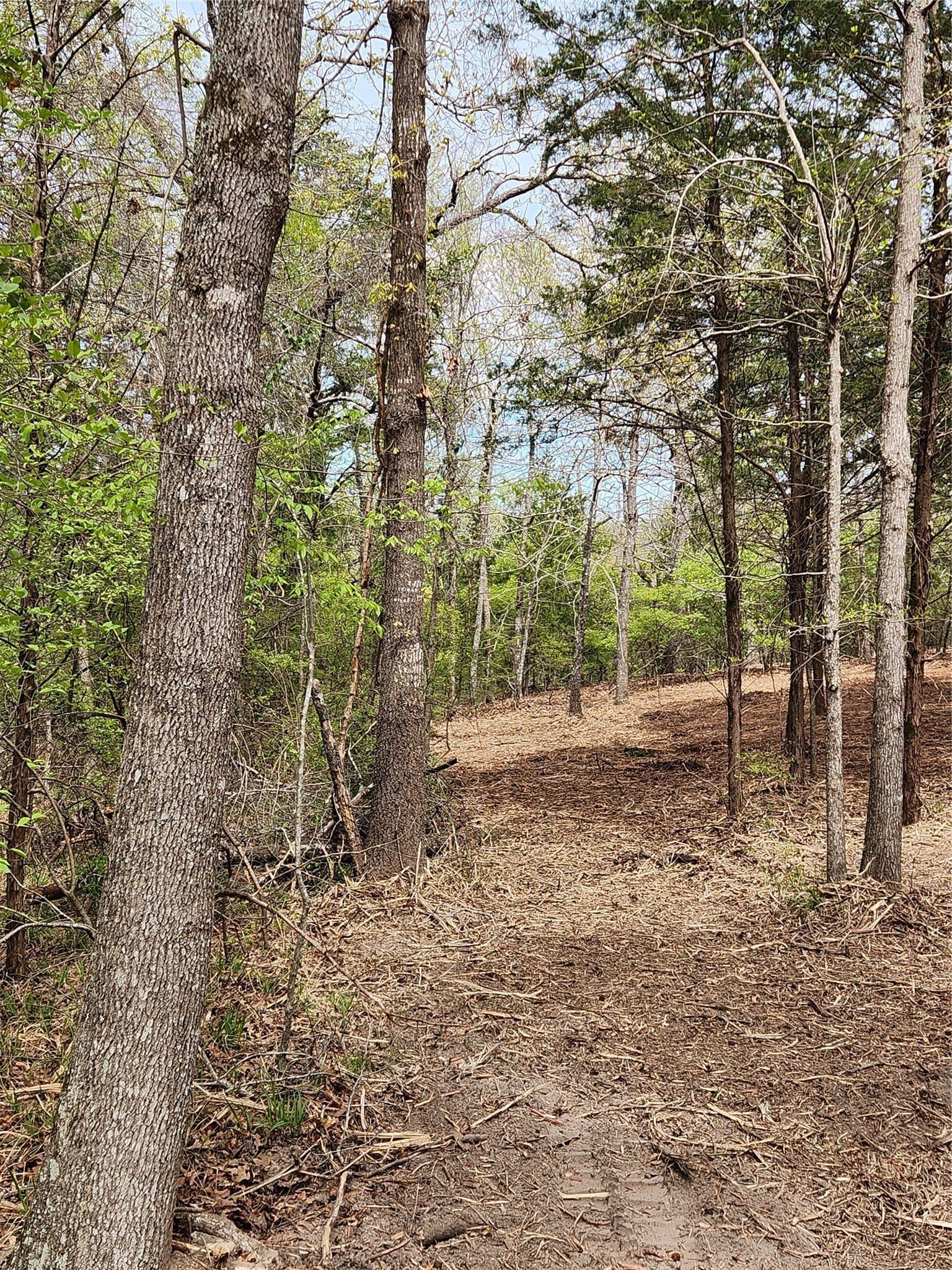 5.01 acres in Henderson County - photo 5