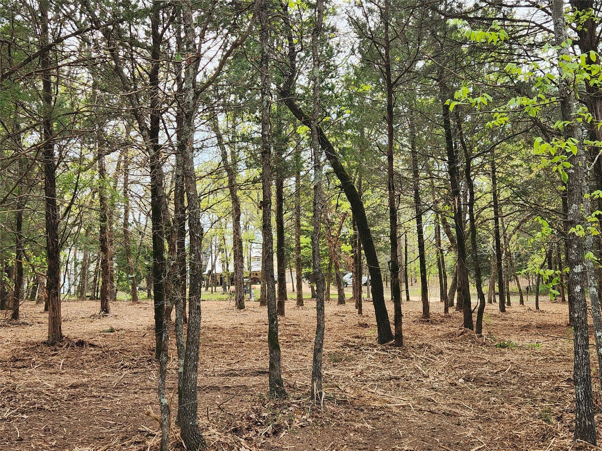 5.01 acres in Henderson County - photo 20
