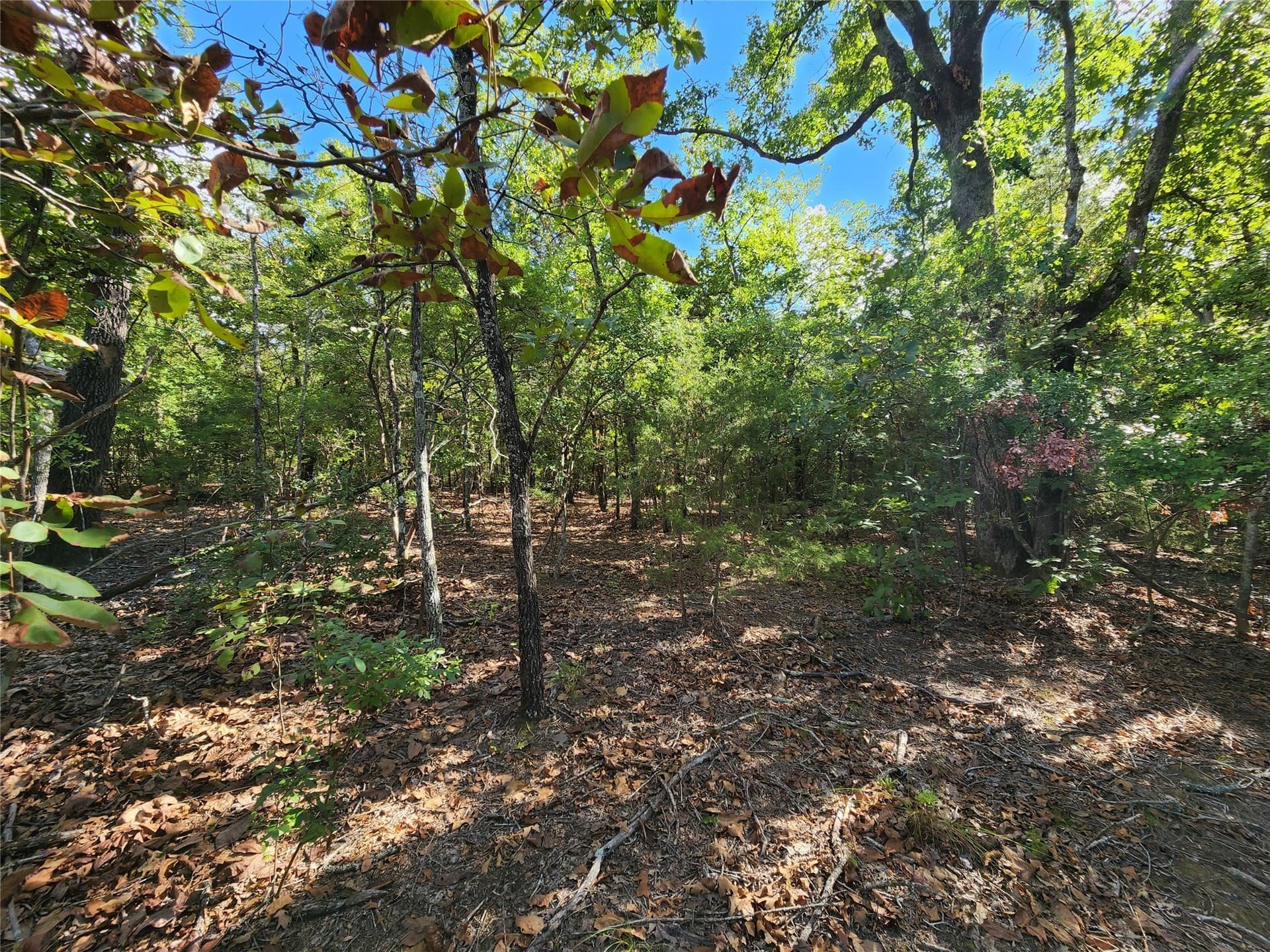 5.01 acres in Henderson County - photo 29
