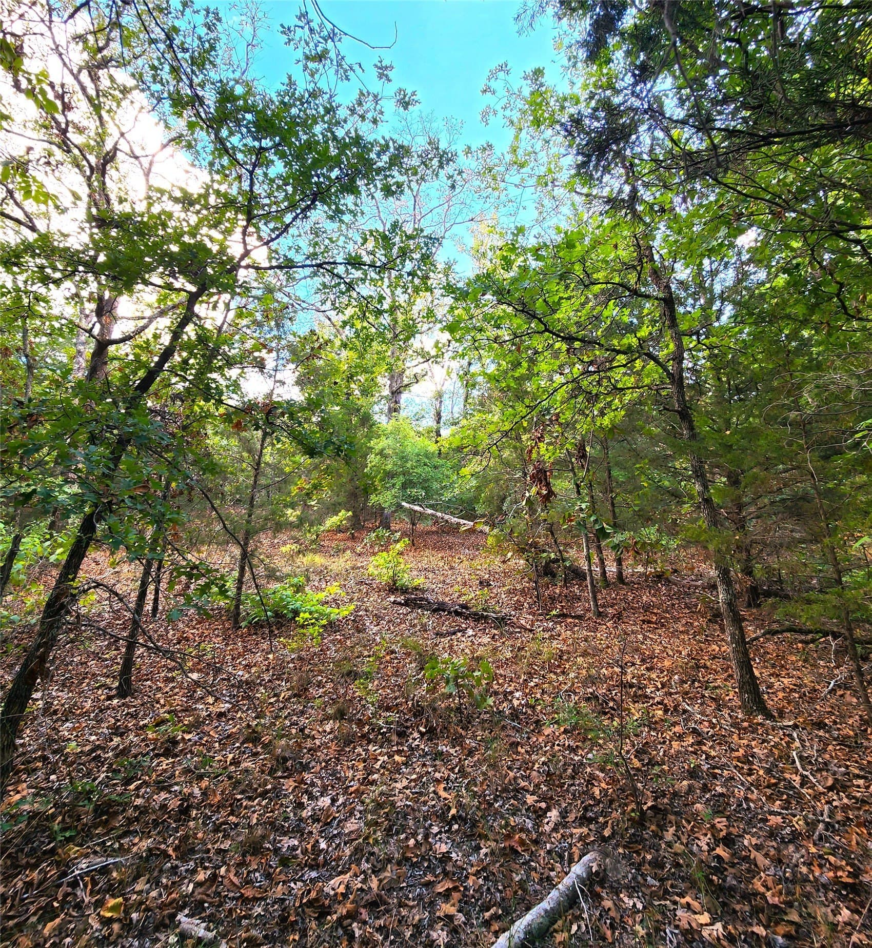 5.01 acres in Henderson County - photo 26