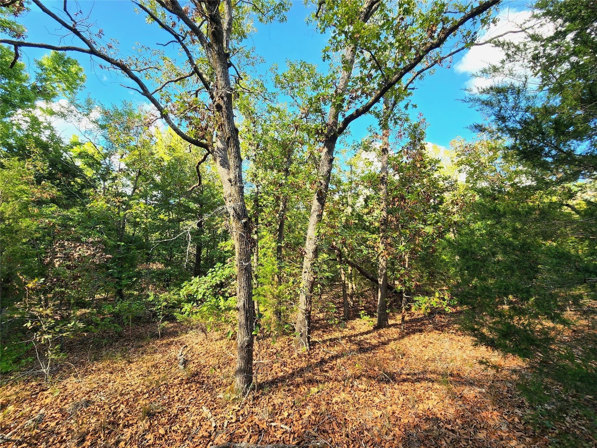 5.01 acres in Henderson County - photo 30