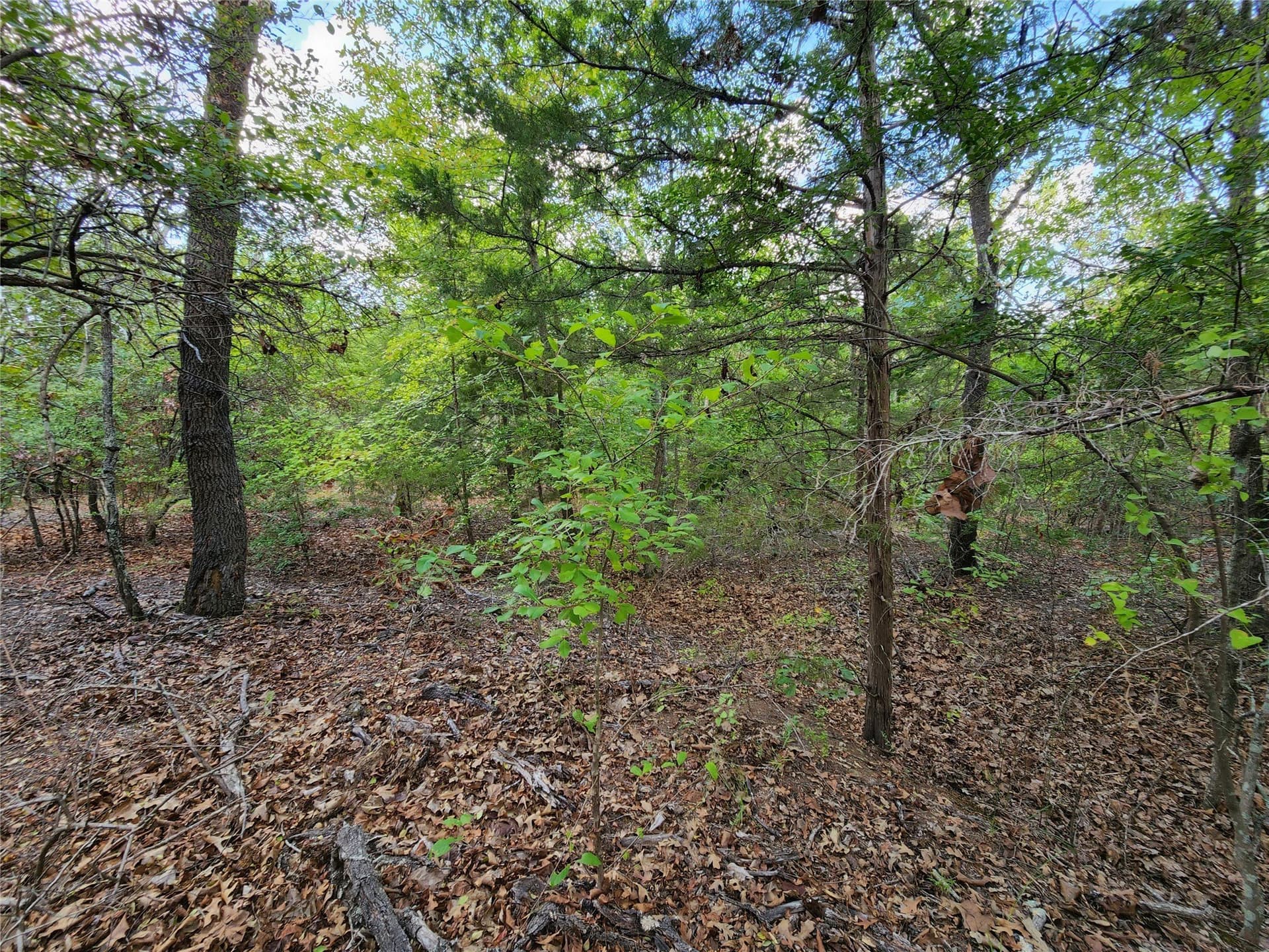 5.01 acres in Henderson County - photo 24
