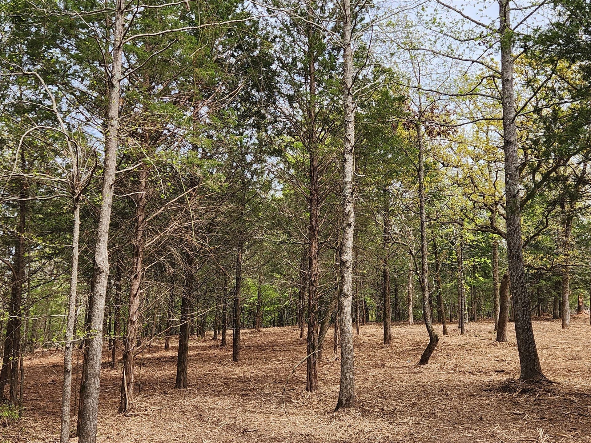 5.01 acres in Henderson County - photo 2