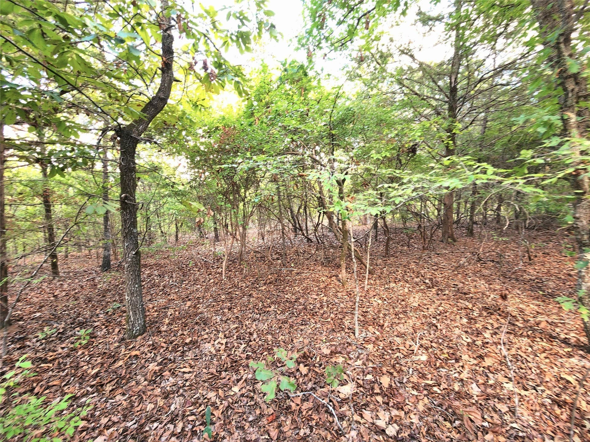 5.01 acres in Henderson County - photo 23