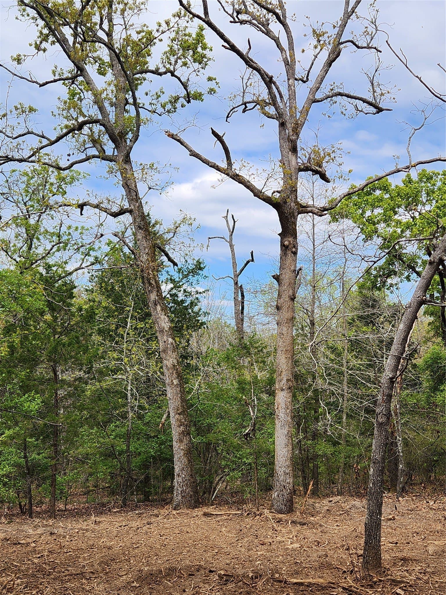 5.01 acres in Henderson County - photo 17