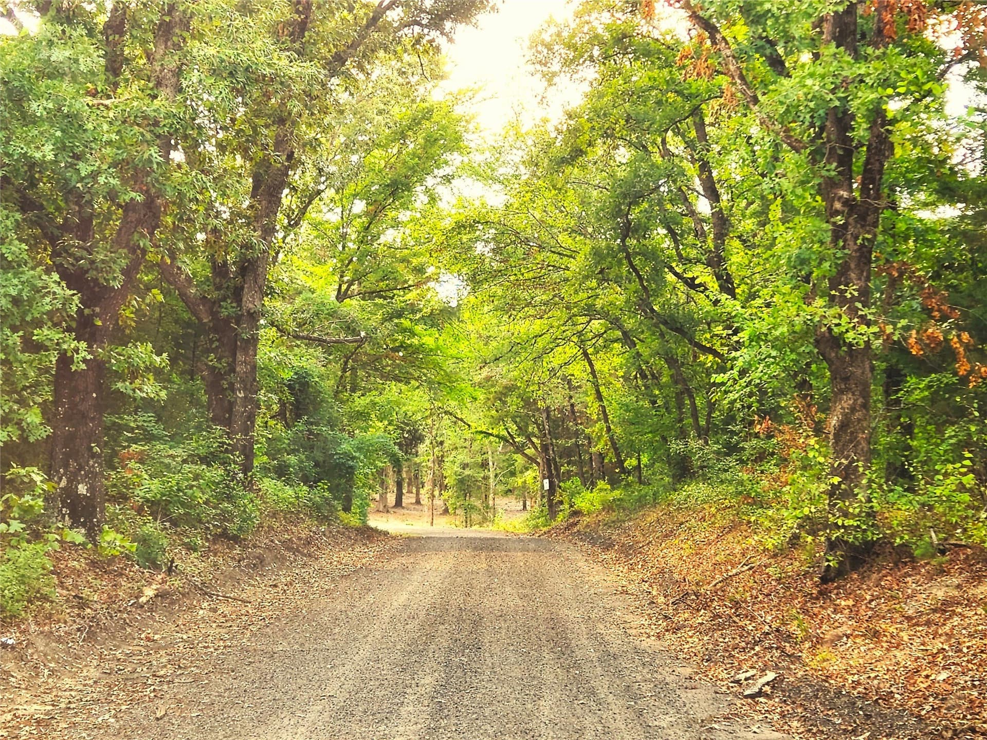 5.01 acres in Henderson County