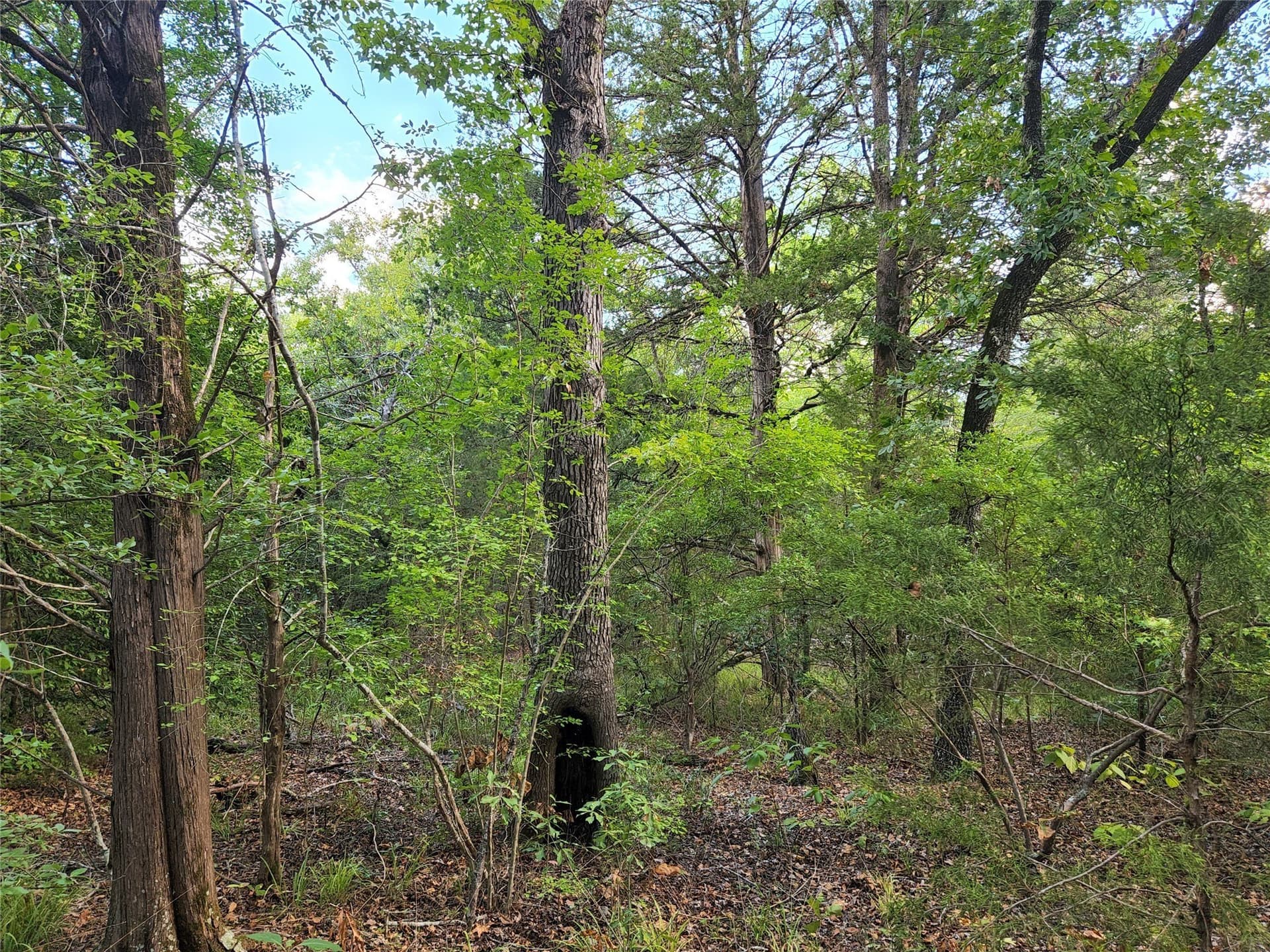 5.01 acres in Henderson County - photo 27