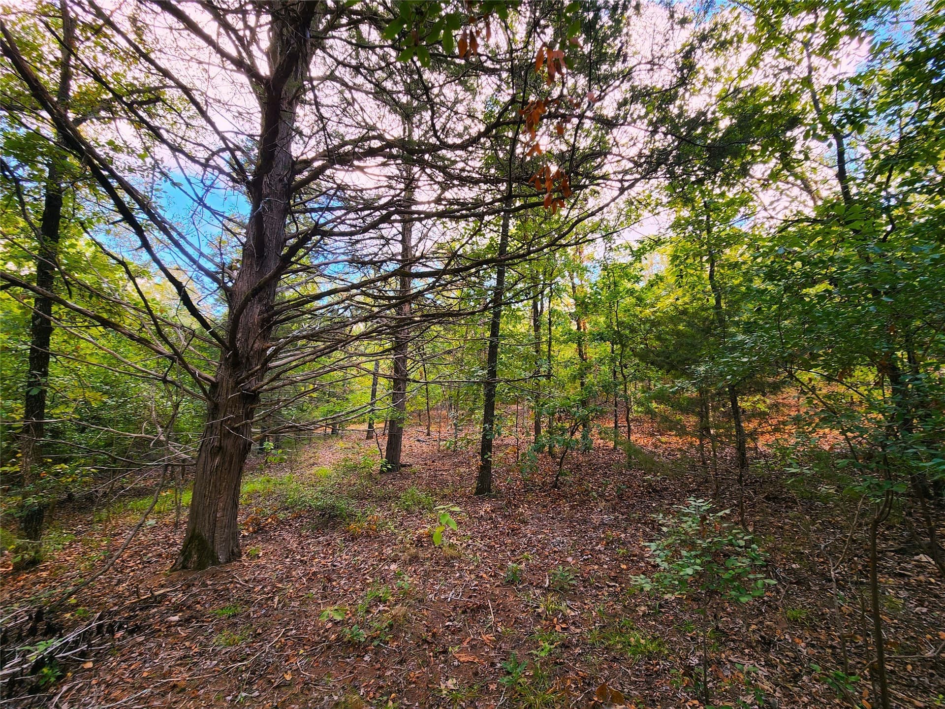 5.01 acres in Henderson County - photo 28